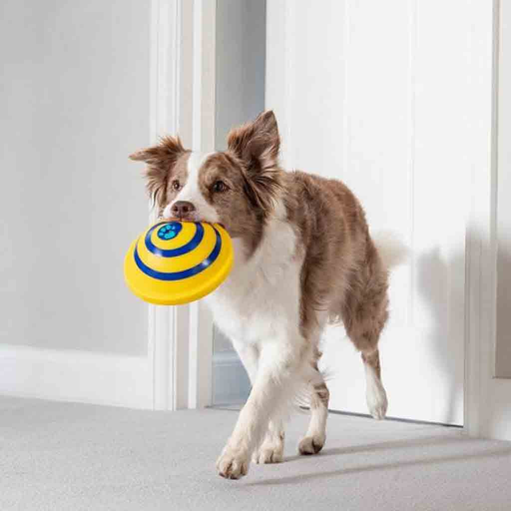 Sounding Disc Woof Glider Dog Toy
