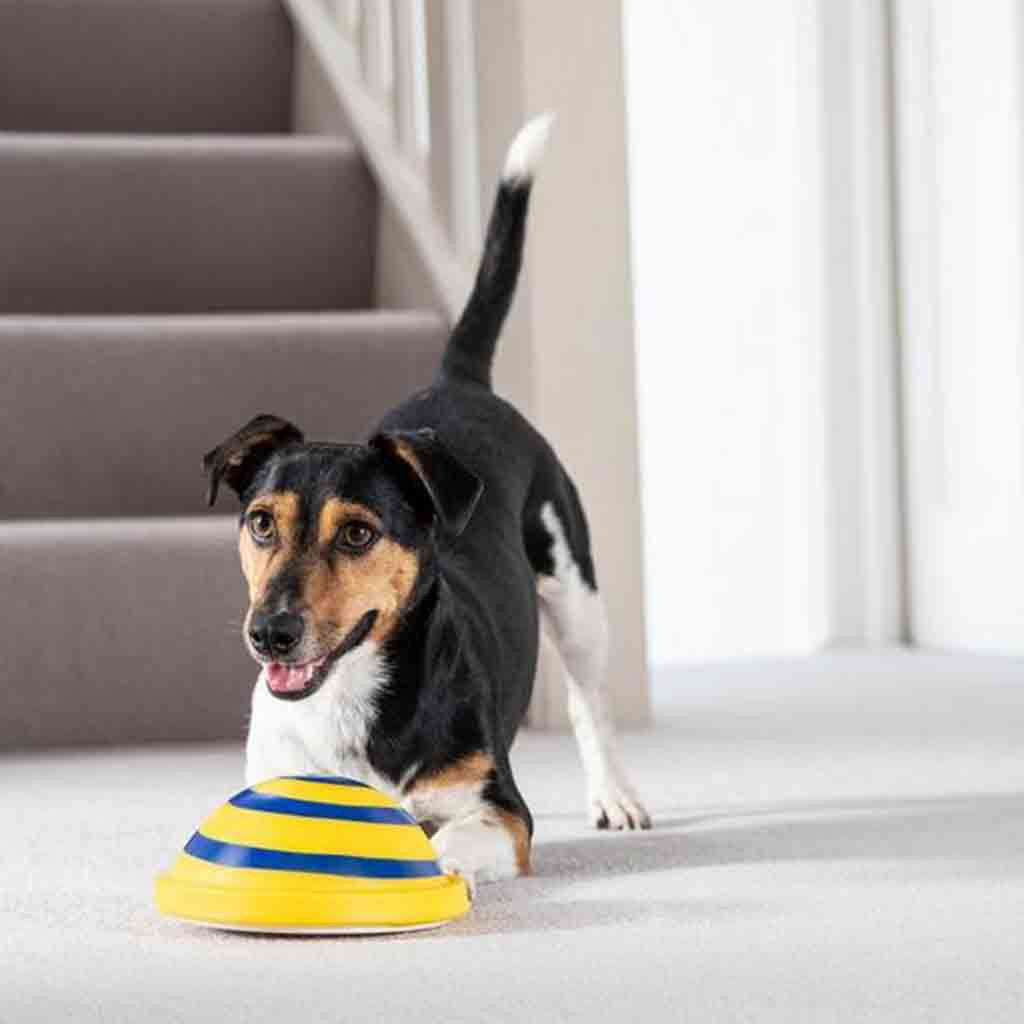 Sounding Disc Woof Glider Dog Toy