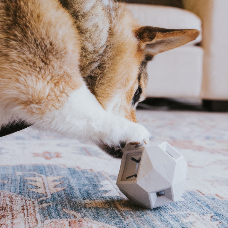 The Odin Treat-Dispensing Dog Toy