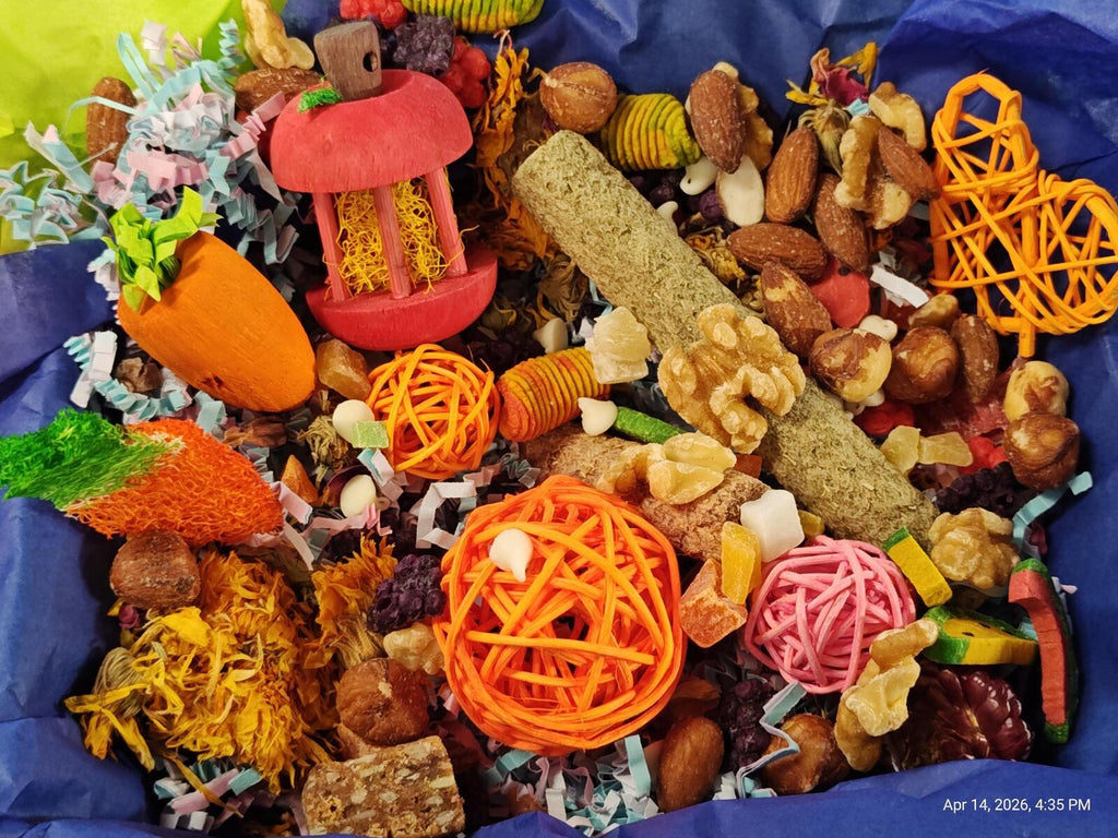 Rat Play & Chew Enrichment Box