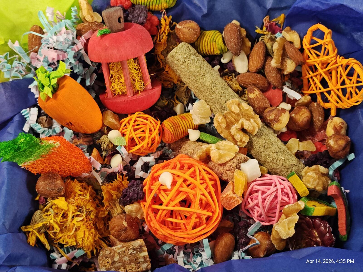 Rat Play & Chew Enrichment Box