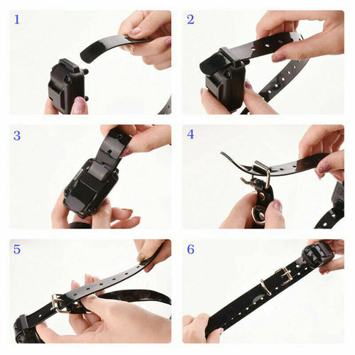 Long-Range Remote Dog Training Collar