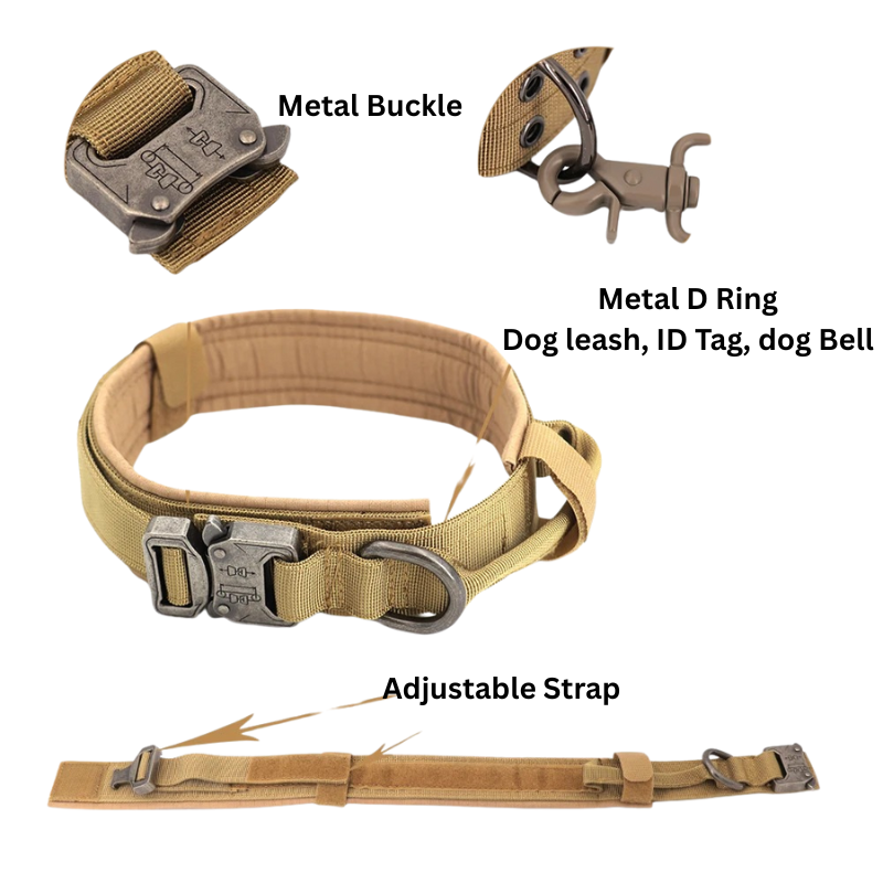 Large Dog Harness & Leash Set – Training Vest for Big Breeds