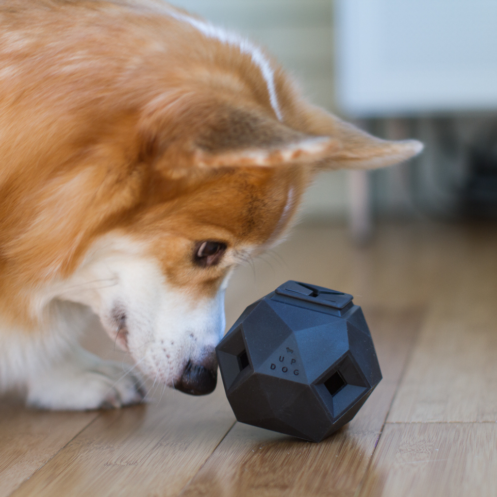 The Odin Treat-Dispensing Dog Toy