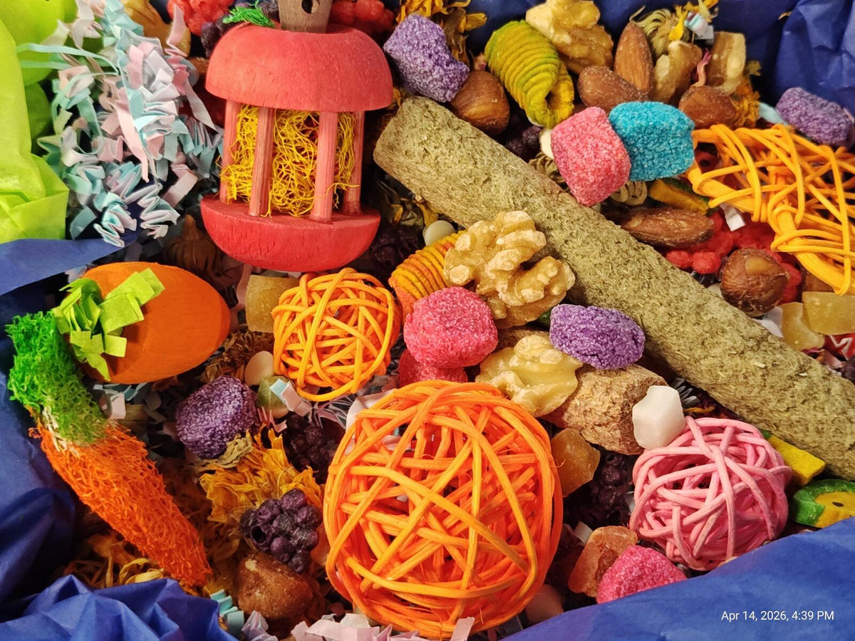 Rat Play & Chew Enrichment Box