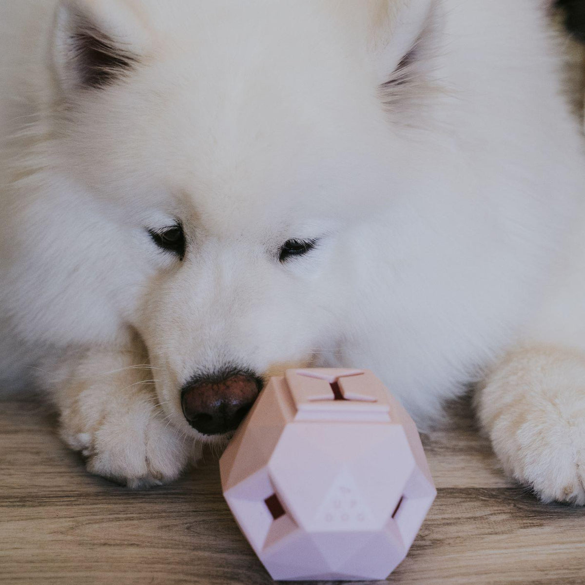 The Odin Treat-Dispensing Dog Toy