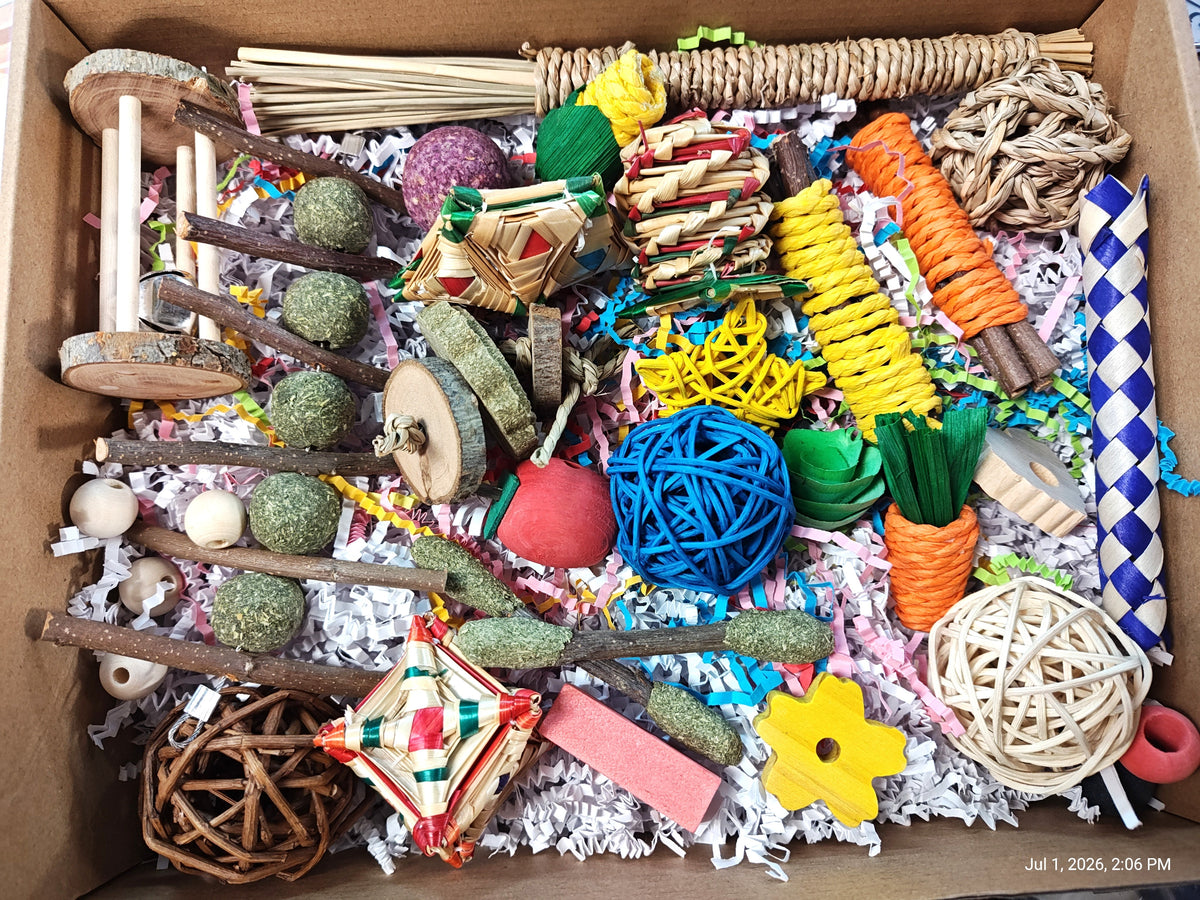 Ultimate Rat & Small Pet Toy & Chew Box