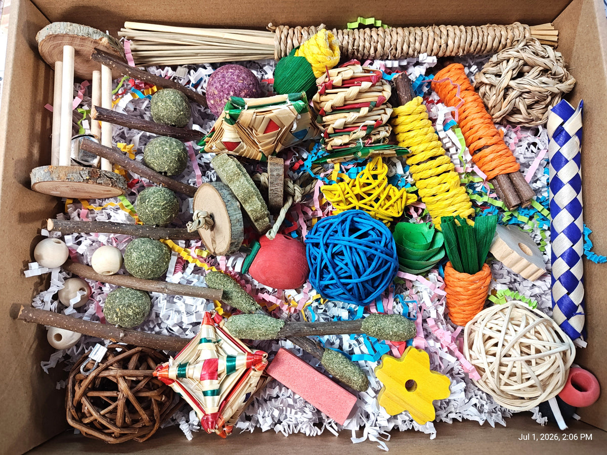 Ultimate Rat & Small Pet Toy & Chew Box