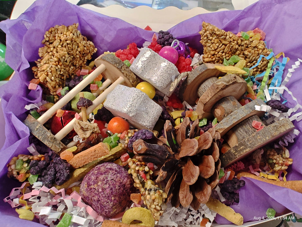 Rat Play & Chew Enrichment Box