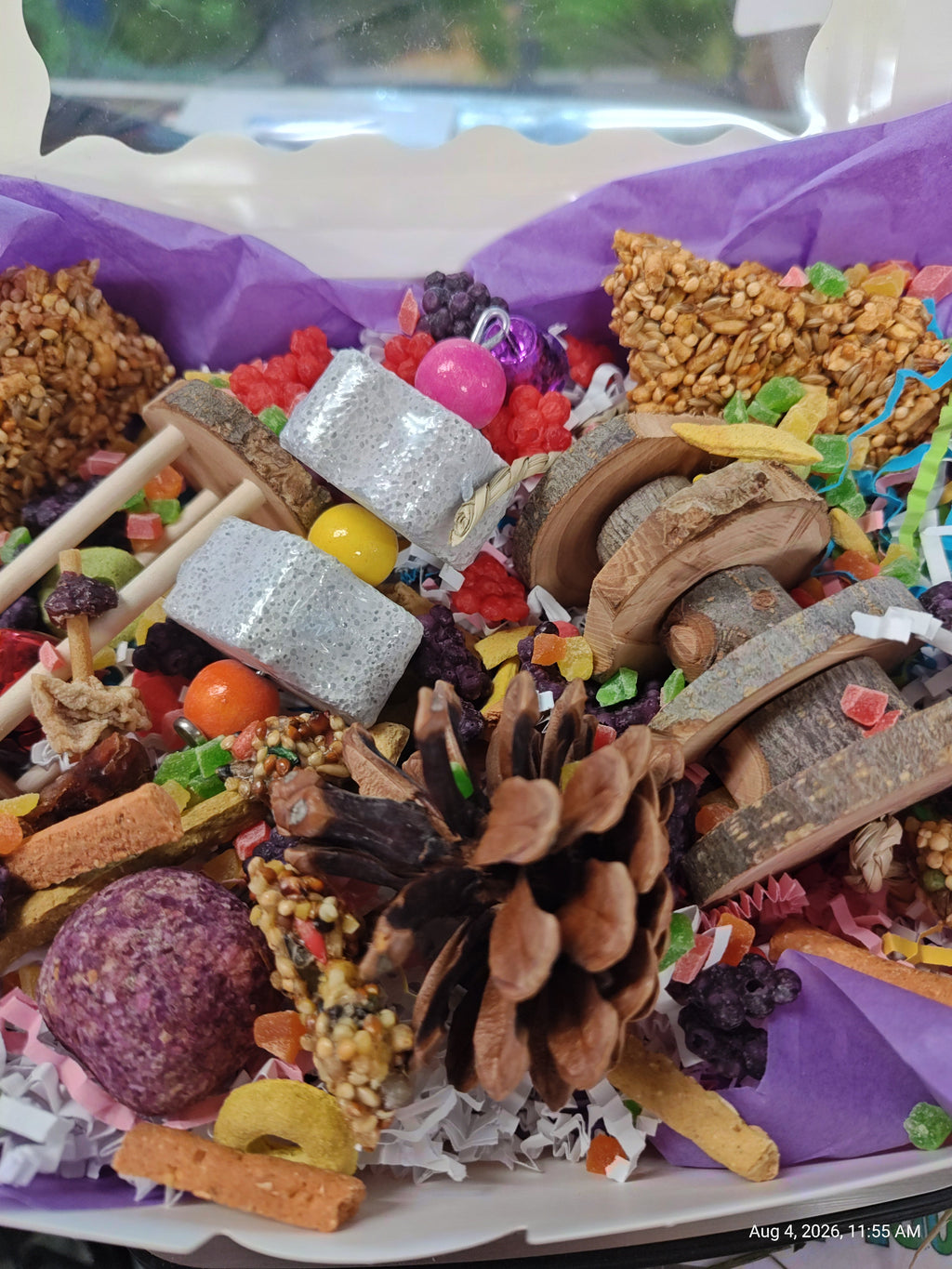 Rat Play & Chew Enrichment Box