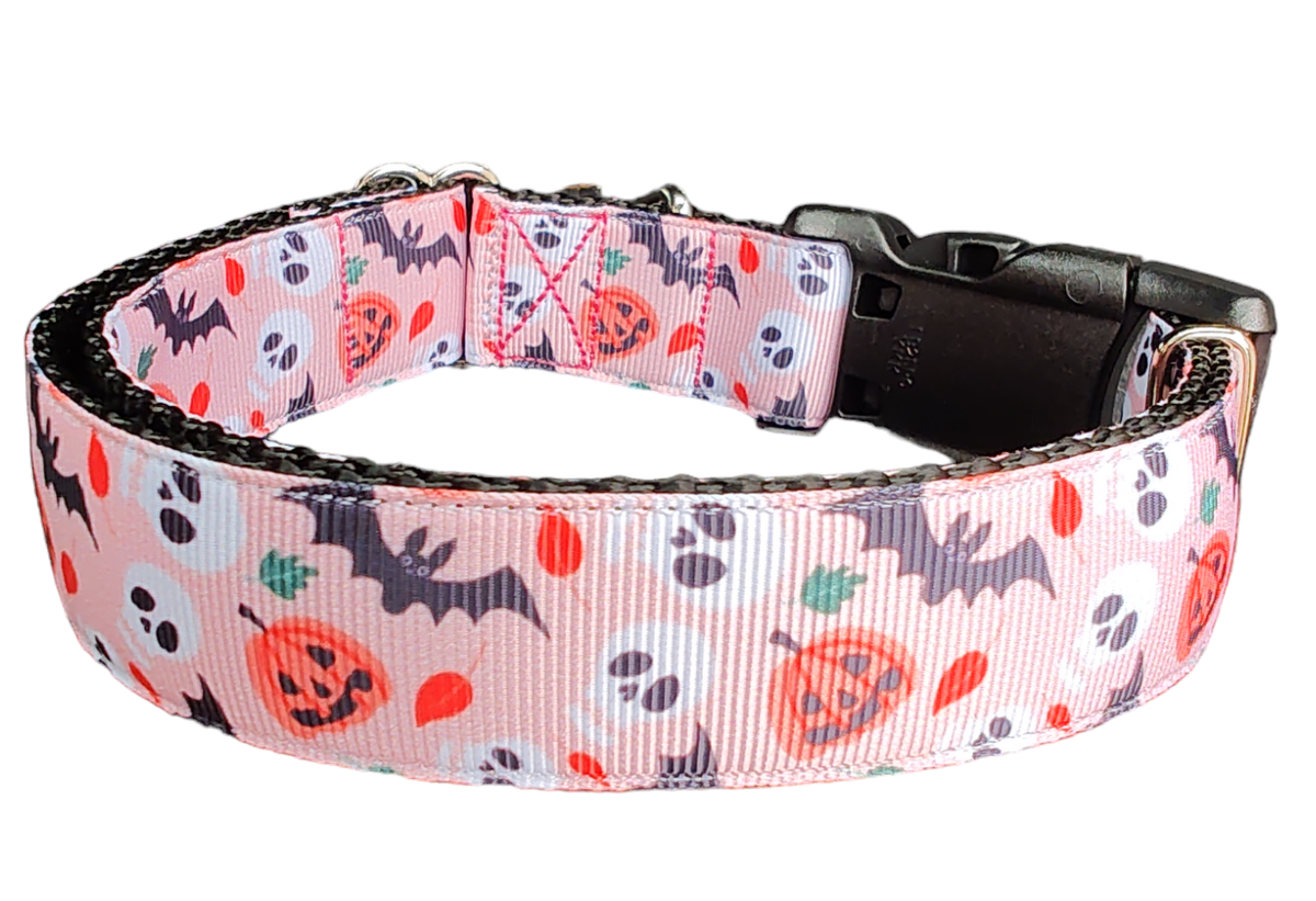 Halloween Spooky Friends Dog Collar & 6-Ft Leash