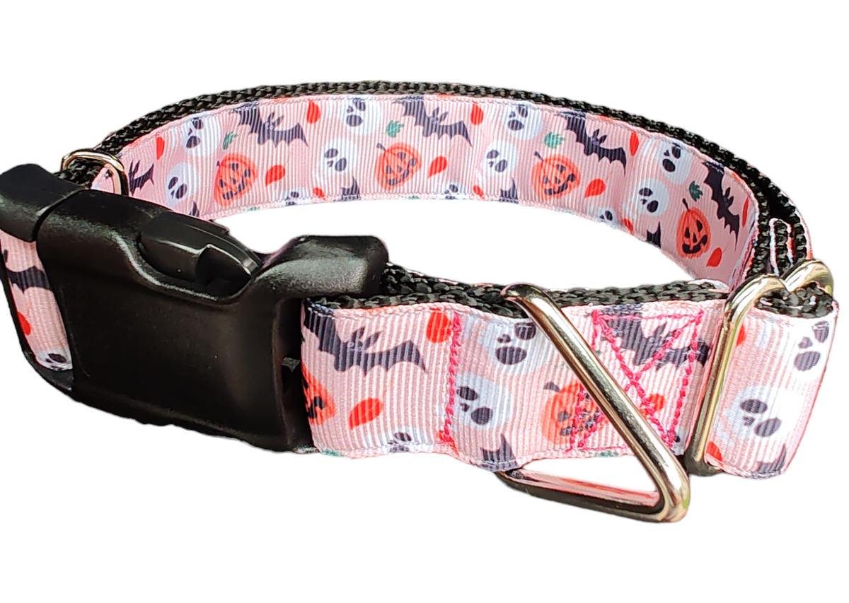 Halloween Spooky Friends Dog Collar & 6-Ft Leash
