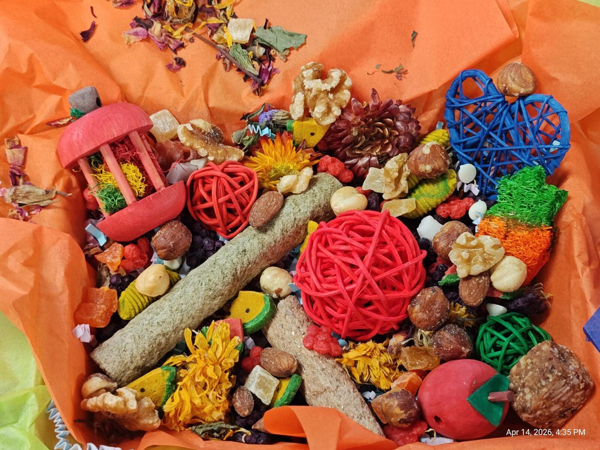 Rat Play & Chew Enrichment Box