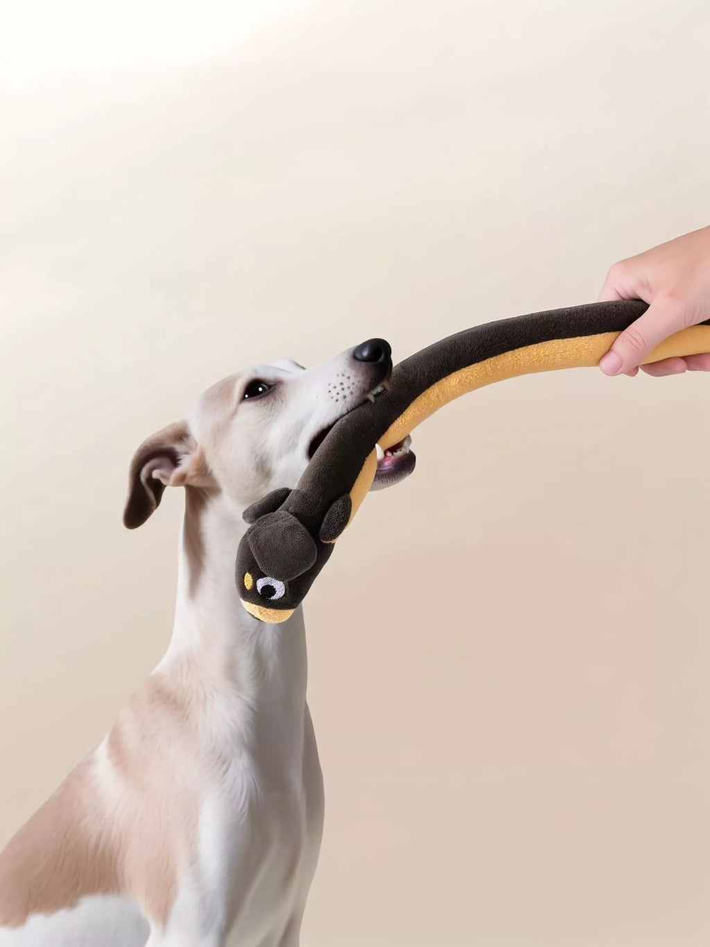 Long Squeaky Plush Dog Toy