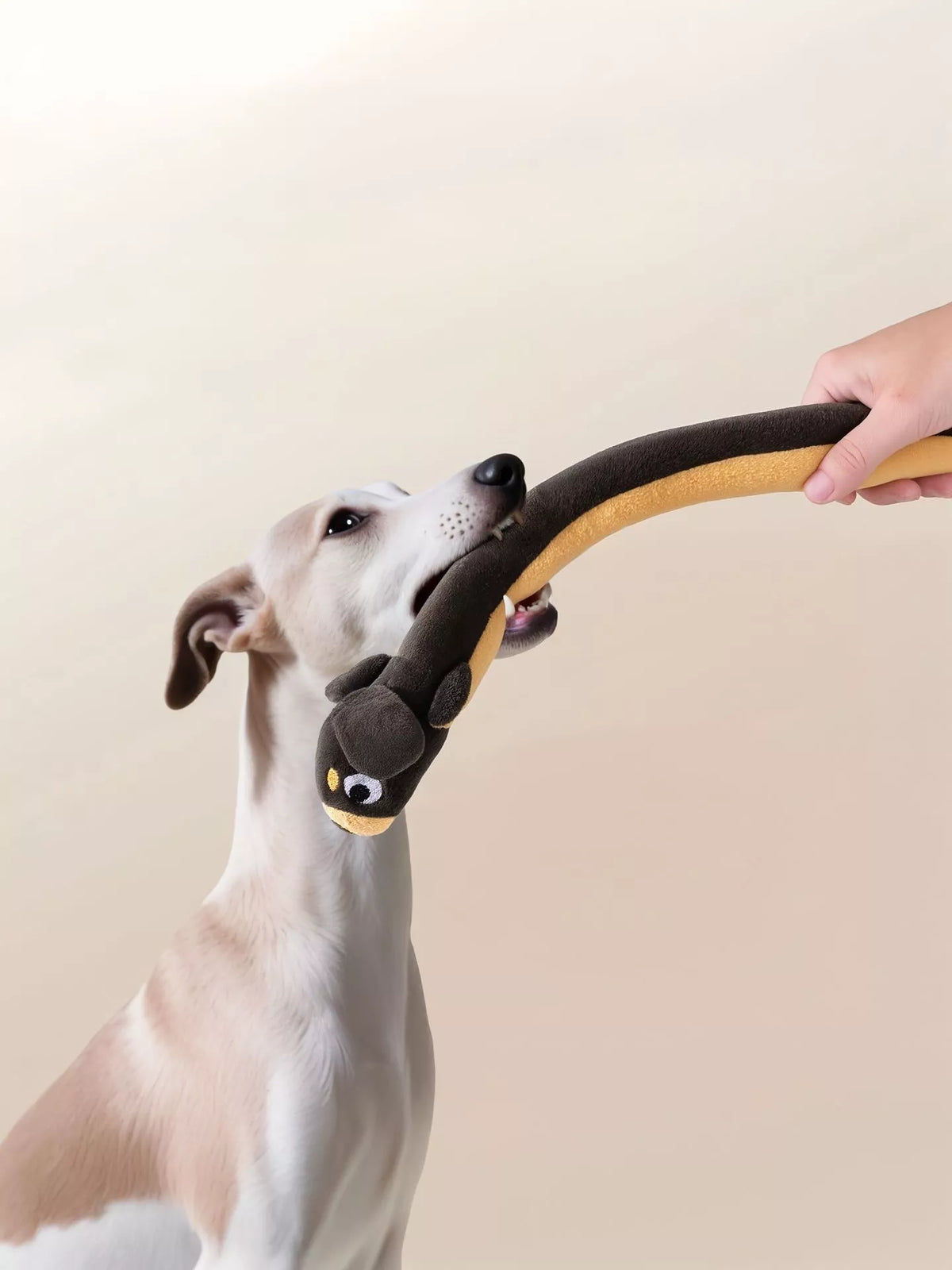 Long Squeaky Plush Dog Toy