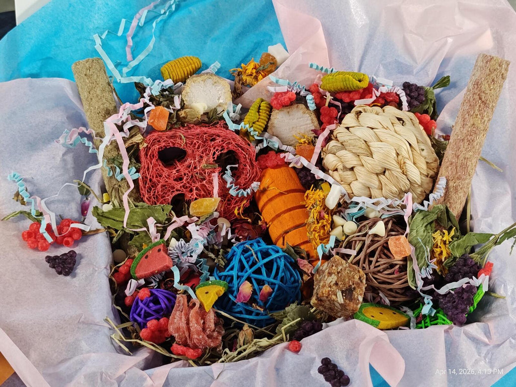 Rat Play & Chew Enrichment Box