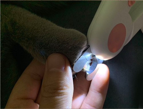 LED Pet Nail Clippers for Dogs & Cats