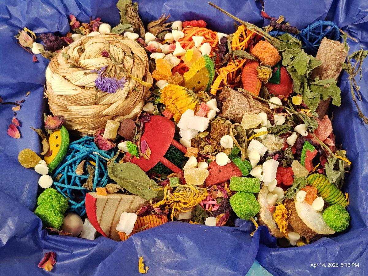 Rat Play & Chew Enrichment Box