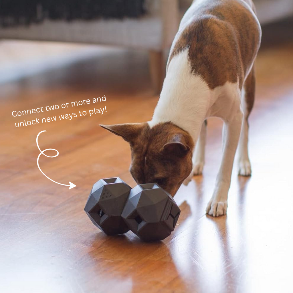The Odin Treat-Dispensing Dog Toy