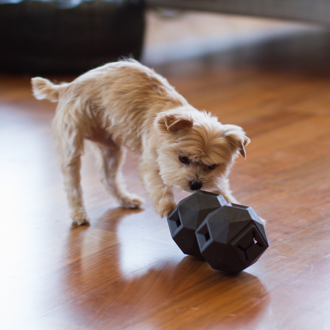 The Odin Treat-Dispensing Dog Toy