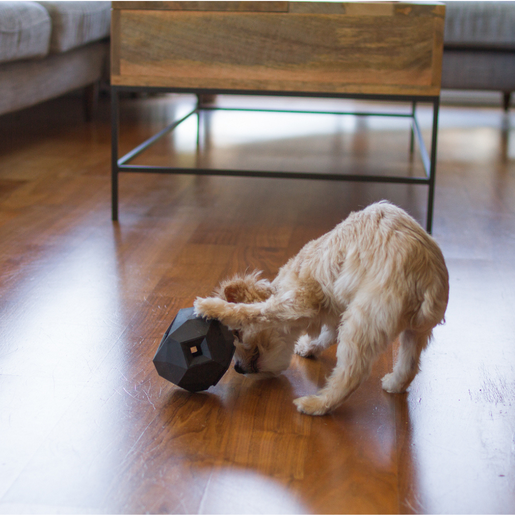 The Odin Treat-Dispensing Dog Toy