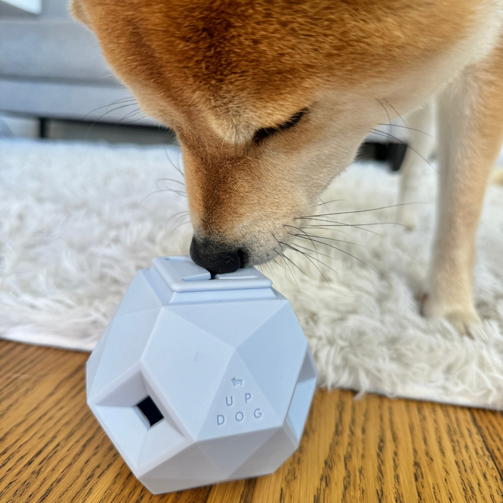 The Odin Treat-Dispensing Dog Toy