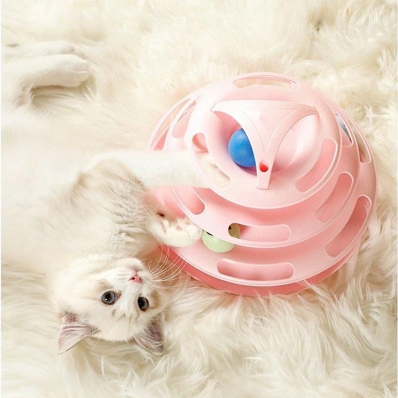 Interactive Cat Track & Motion Fish Toy
