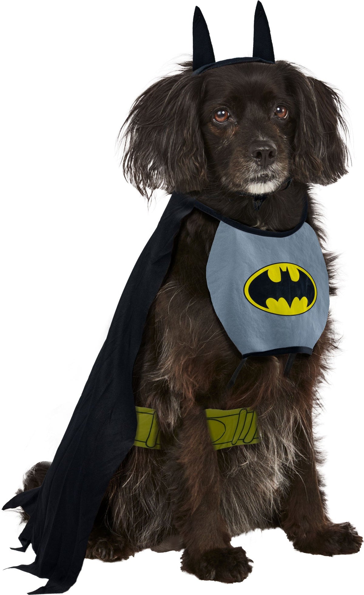 DC Comics Classic Batman Pet Costume